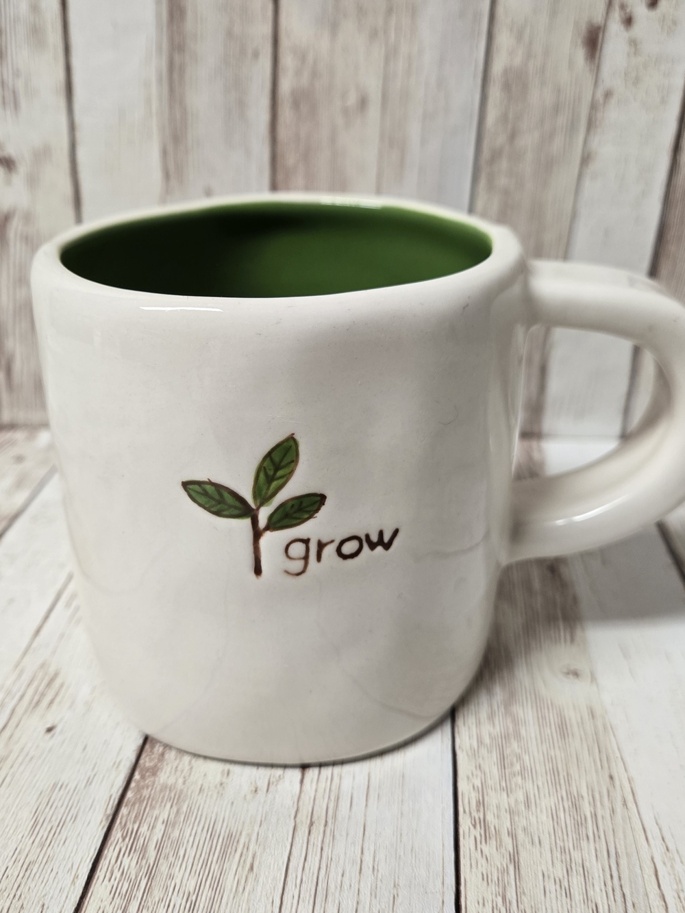 Starbucks 2008 Grow Mug 10 oz Hand Painted Green Interior White Ceramic